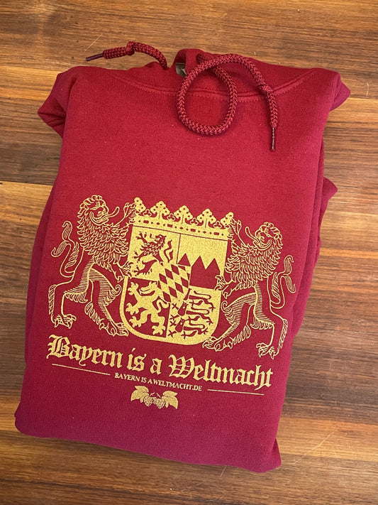 Hoodie Kaputzenpullover 2026